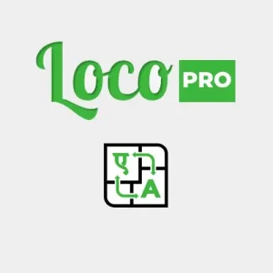 ترجمه اتومات قالب و افزونه وردپرس لوکو پرو -  LocoAI Auto Translate Pro